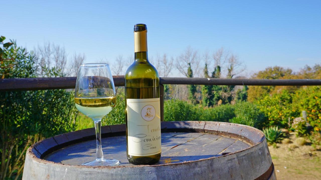 Tenuta Convivium Pozzuoli Bagian luar foto